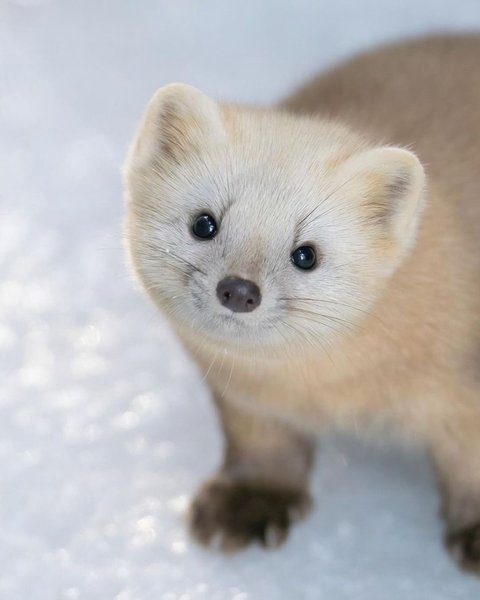 Thumbnail of tuu4tc-hq-dae2756930964804 1