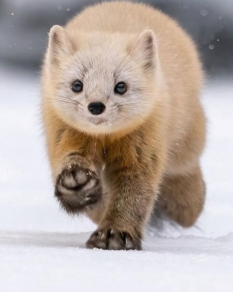 Thumbnail of tuu4tc-hq-dae2756930964804 3