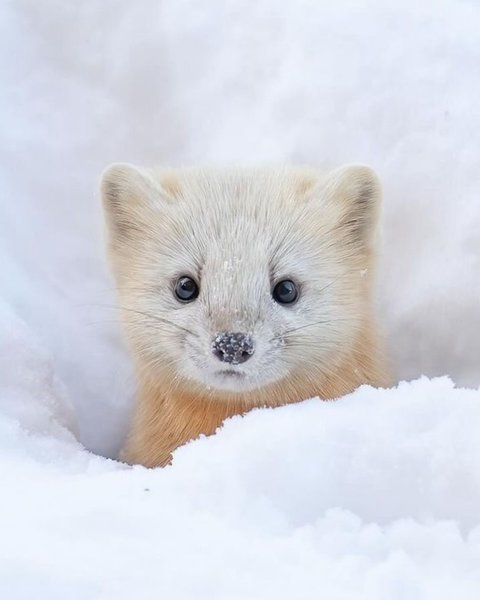 Thumbnail of tuu4tc-hq-dae2756930964804 4