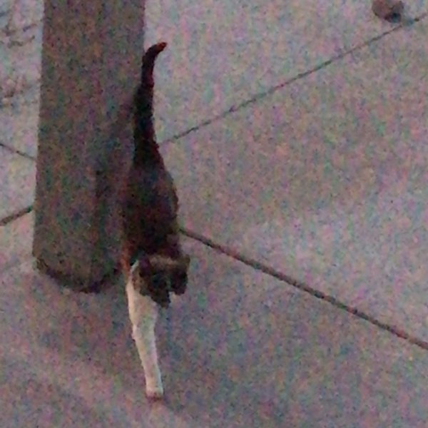 Thumbnail of p-b2yiffxfnjb-dafca07ef76f44b1 4