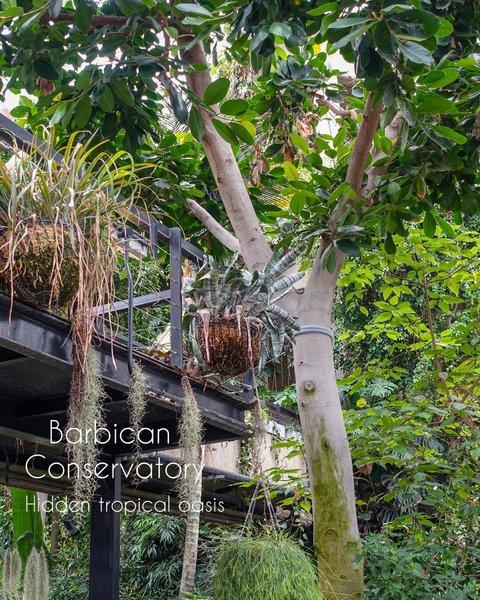 Thumbnail of p-dfecdu9mjhd-db5619905a8f43ed 9