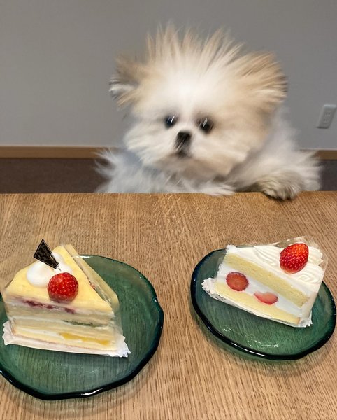 Thumbnail of p-c11qoachmm7-db6f7939b3e84624 0