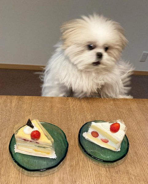 Thumbnail of p-c11qoachmm7-db6f7939b3e84624 1