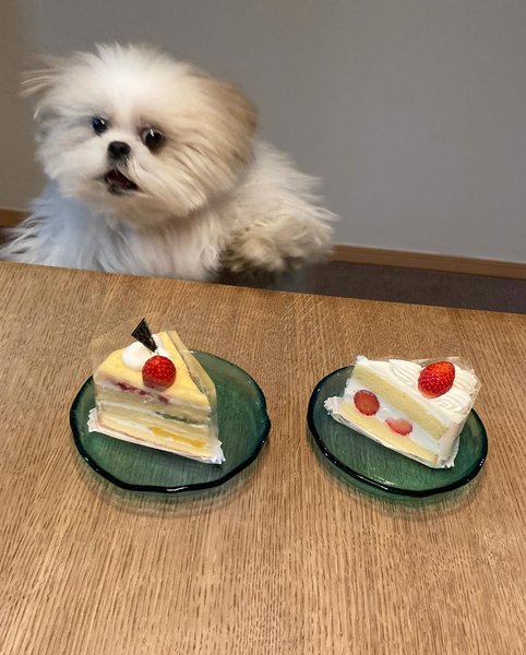 Thumbnail of p-c11qoachmm7-db6f7939b3e84624 2