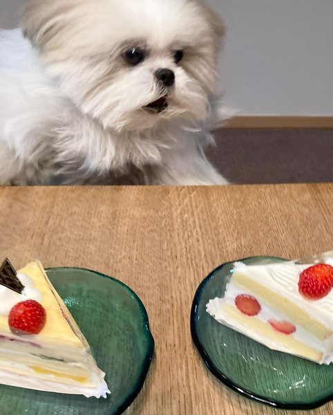 Thumbnail of p-c11qoachmm7-db6f7939b3e84624 3