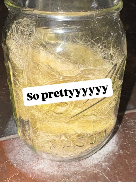 Thumbnail of p-drazhwldtf2-db9307cbbf5a4dd7 8