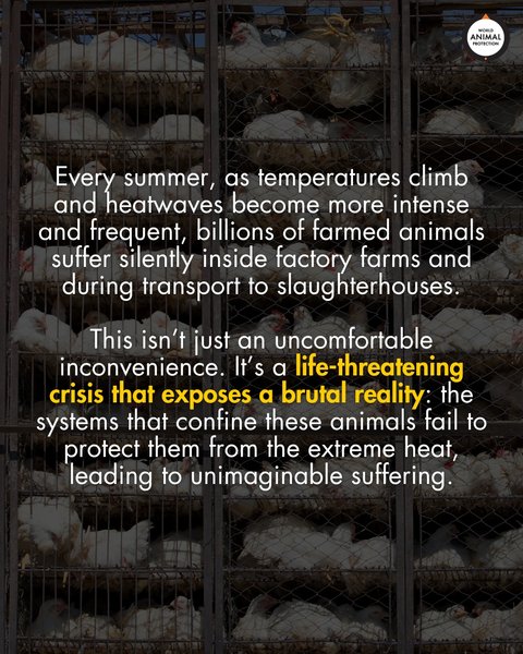 Thumbnail of p-dnb4cost9ri-dba9e444cd2f4cdb 1