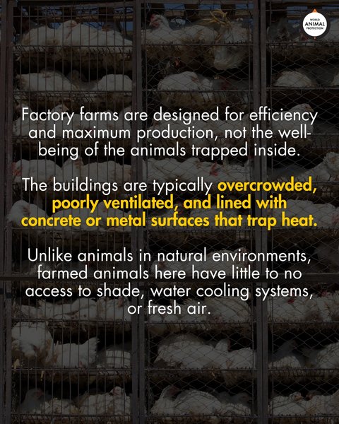 Thumbnail of p-dnb4cost9ri-dba9e444cd2f4cdb 2