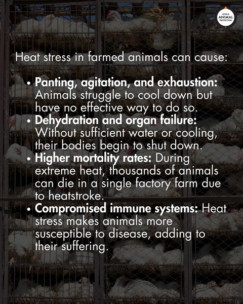 Thumbnail of p-dnb4cost9ri-dba9e444cd2f4cdb 3