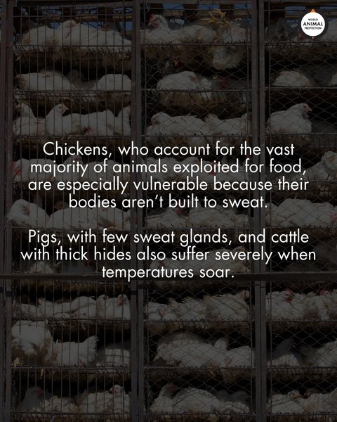 Thumbnail of p-dnb4cost9ri-dba9e444cd2f4cdb 4