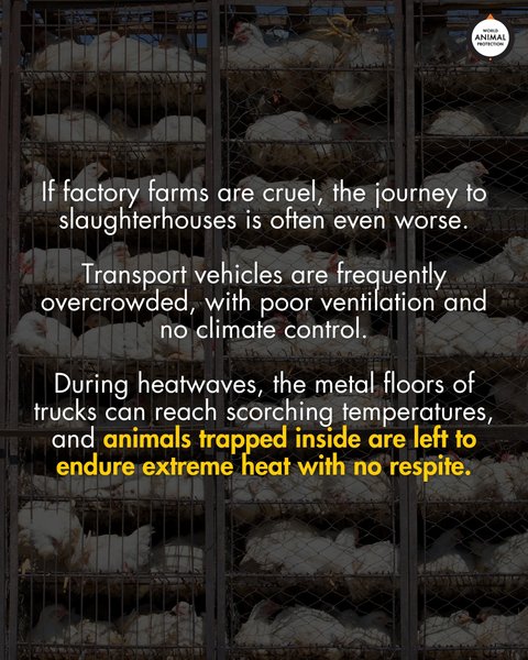 Thumbnail of p-dnb4cost9ri-dba9e444cd2f4cdb 5