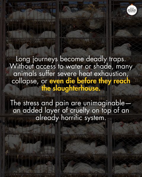 Thumbnail of p-dnb4cost9ri-dba9e444cd2f4cdb 6