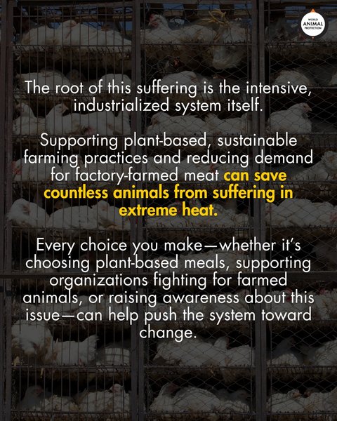 Thumbnail of p-dnb4cost9ri-dba9e444cd2f4cdb 7