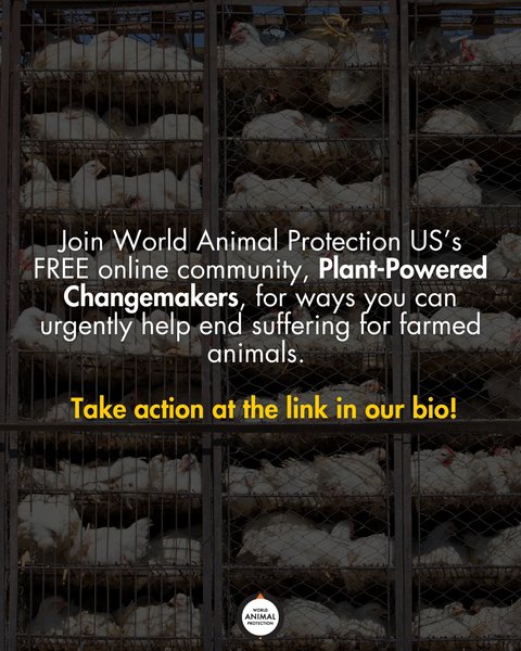 Thumbnail of p-dnb4cost9ri-dba9e444cd2f4cdb 8