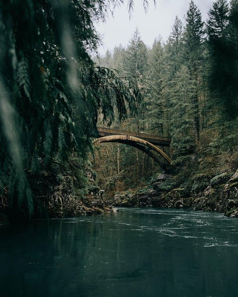 Thumbnail of bloayeyg-6y-dbfa24306bb04d62 0