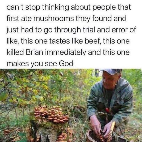 Thumbnail of p-cunbyucpzfo-dc0386f253754fe6 7