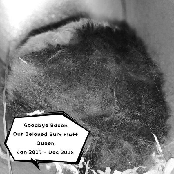 Thumbnail of p-brcxnavnpz2-dc339686bad94285 0