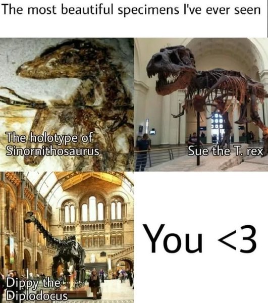 Thumbnail of c78ddq-jol9-dc4f6ae9fd45453f 0