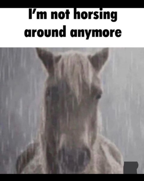 Thumbnail of p-cxgdxahssmp-dd0a61aa6c174170 9