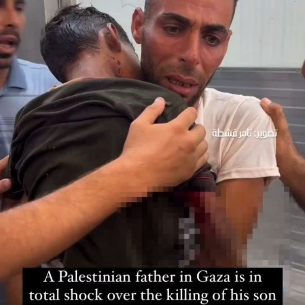 Thumbnail of c-p8uuduloy-dd4192d3c07c48e9 0