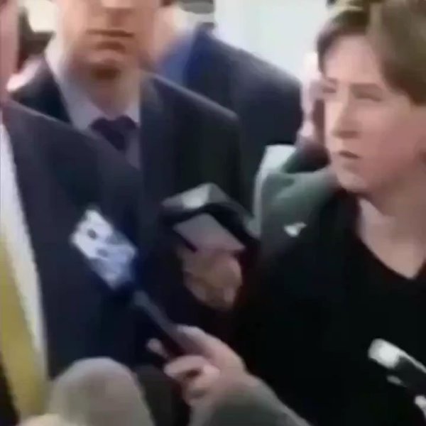 Thumbnail of c-p8uuduloy-dd4192d3c07c48e9 1