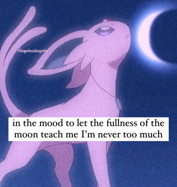 Thumbnail of p-c0ku22uuirm-dd815975e26e4fca 5