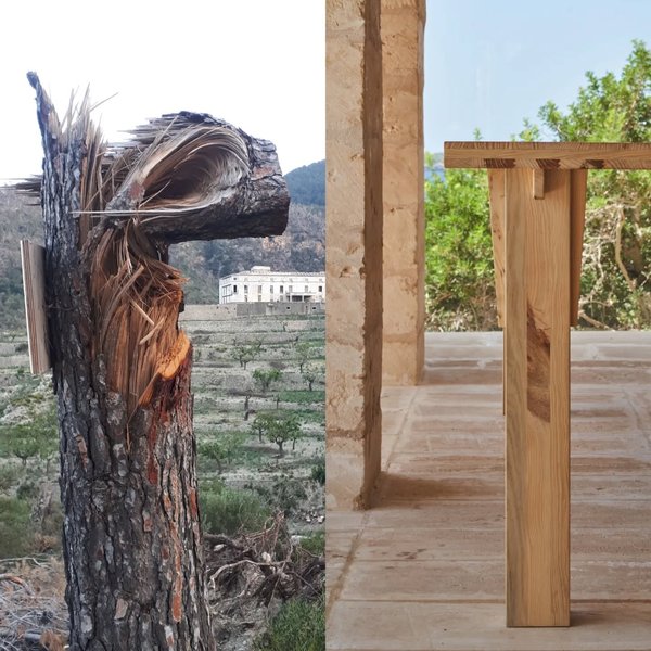 Thumbnail of p-ckcs3tqdwhh-dd91da7697ef41fe 0