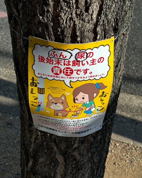 Thumbnail of p-dcbyfmsttez-ddaa3f12655d4fec 10