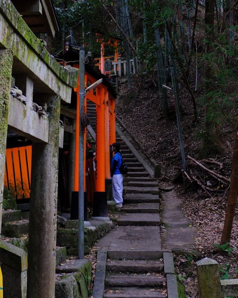 Thumbnail of p-dcbyfmsttez-ddaa3f12655d4fec 19