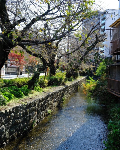 Thumbnail of p-dcbyfmsttez-ddaa3f12655d4fec 6