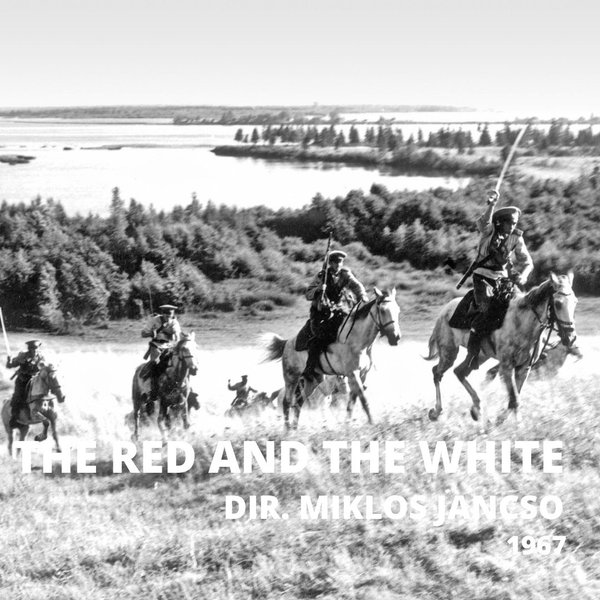 Thumbnail of p-cjlzxlytsv9-ddab91024add4844 3