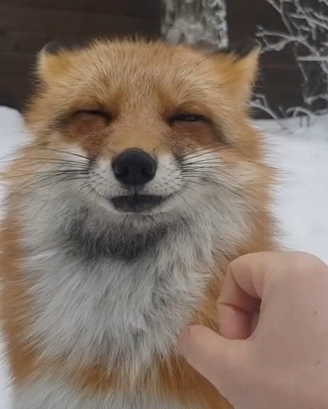 Thumbnail of p-djd35zxohqk-dde0ec5e95664b1a 1