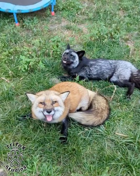 Thumbnail of p-djd35zxohqk-dde0ec5e95664b1a 3