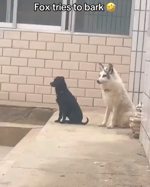 Thumbnail of p-djd35zxohqk-dde0ec5e95664b1a 4