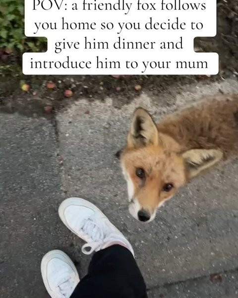 Thumbnail of p-djd35zxohqk-dde0ec5e95664b1a 5