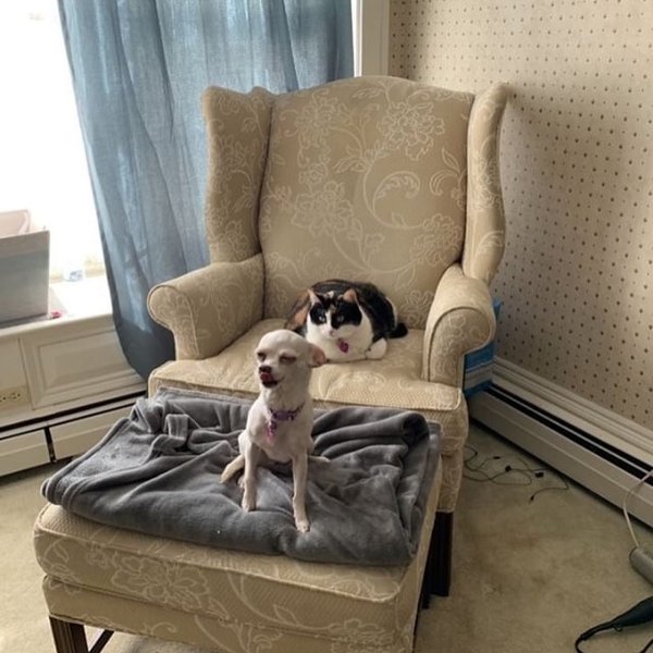 Thumbnail of p-bx2shanfbbd-de18c89eb5a242d4 1