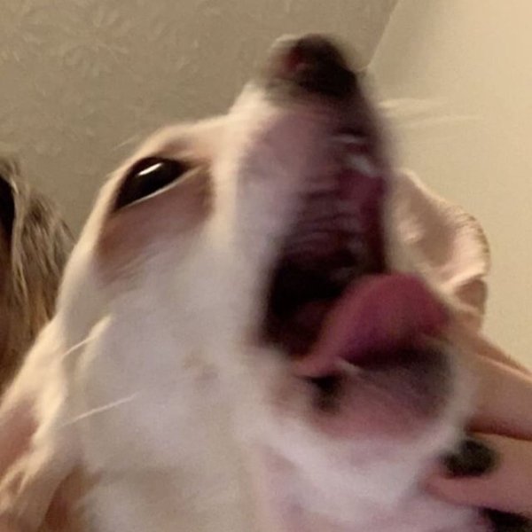 Thumbnail of p-bx2shanfbbd-de18c89eb5a242d4 2