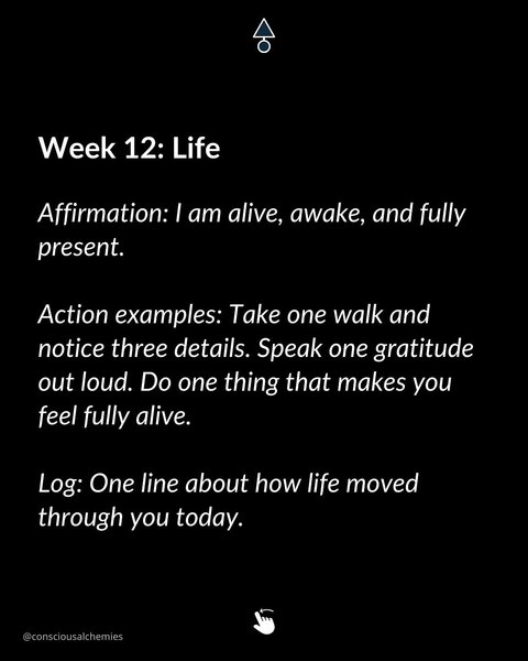 Thumbnail of www-instagram-com-p-dpupn-ojfl8 15