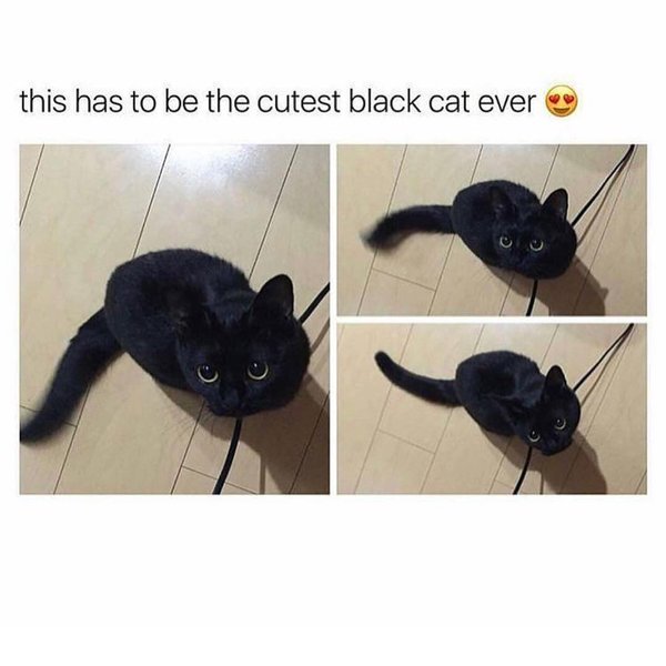 Thumbnail of bnvs9-xhtog-dec0d0c6e44e4d4f 0