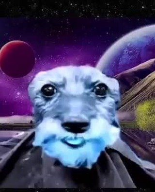 Thumbnail of p-deuhy8nodxu-deca527600aa40d0 1