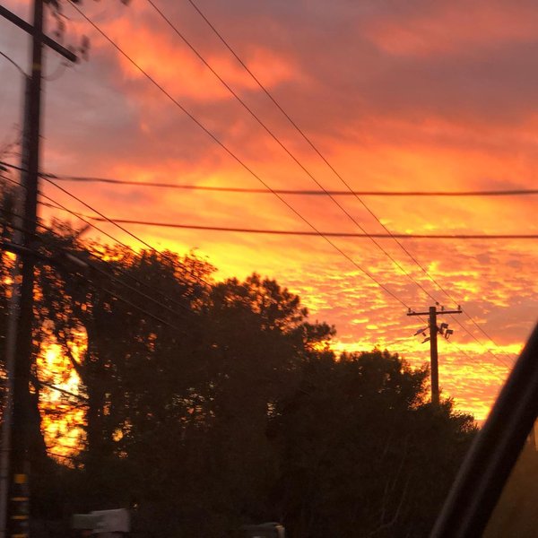 Thumbnail of p-cs17paplze3-ded93255d36b411e 3