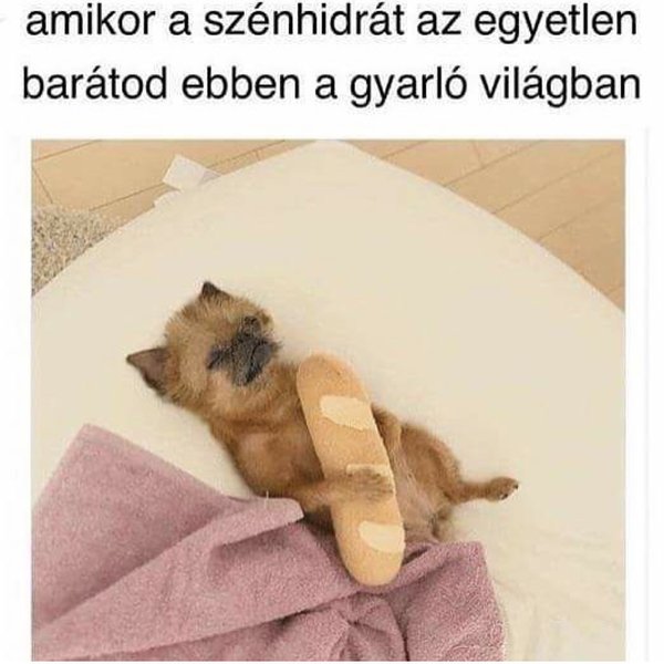 Thumbnail of p-bjch3gag0wq-deed738d06f24230 0