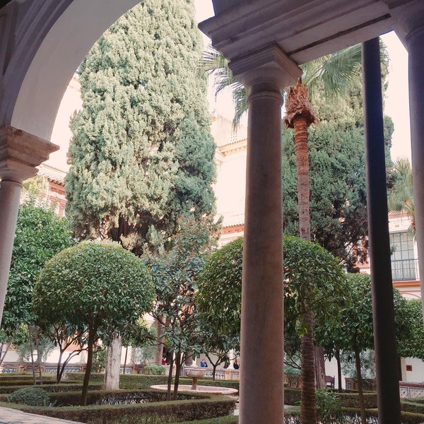 Thumbnail of p-cdg2e2vpnlg-defeadab32834902 3