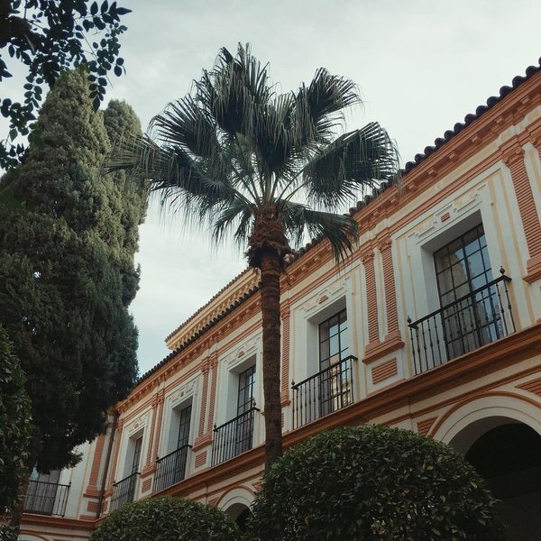 Thumbnail of p-cdg2e2vpnlg-defeadab32834902 4