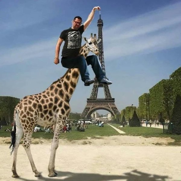 Thumbnail of b1gw-rihdxr-df08cae326304649 6