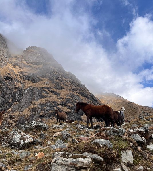 Thumbnail of p-cxmoiqvjmct-df1ccffc4e864aec 4