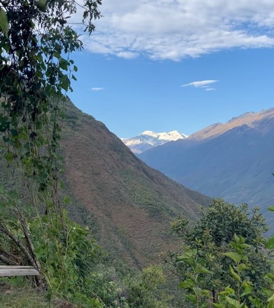 Thumbnail of p-cxmoiqvjmct-df1ccffc4e864aec 8