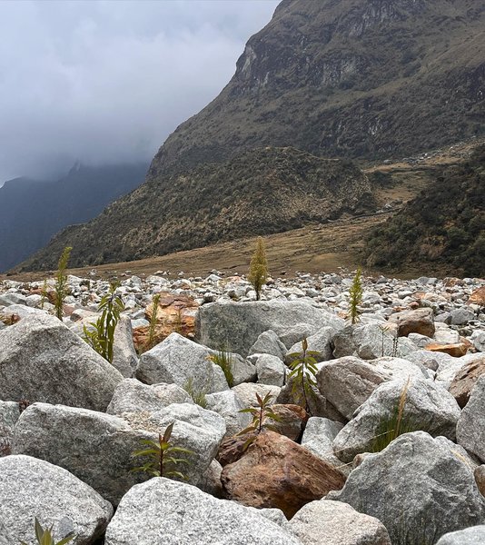 Thumbnail of p-cxmoiqvjmct-df1ccffc4e864aec 9