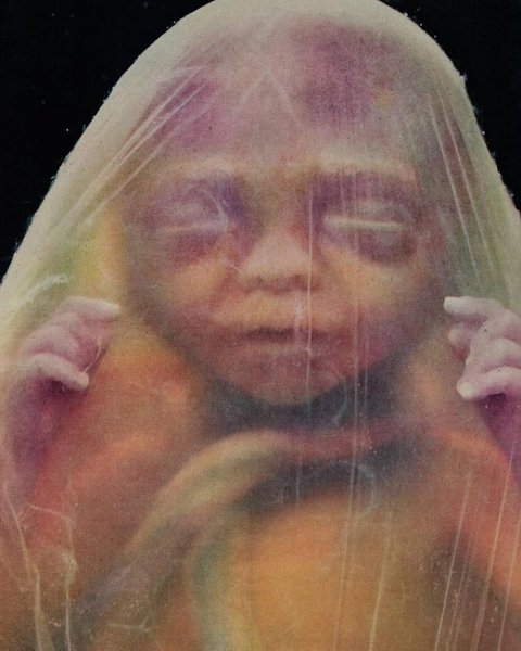 Thumbnail of www-instagram-com-p-dqn1dredqe8 0