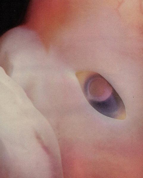 Thumbnail of www-instagram-com-p-dqn1dredqe8 4